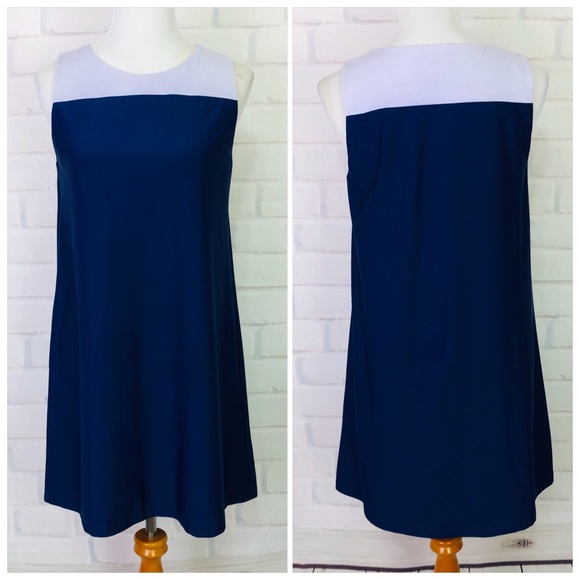 Jude Connally Color Block Shift Dress
